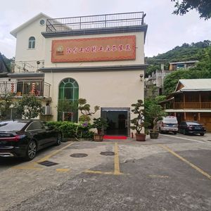 Tianyuan Mountain Villa Farmhouse (Shiyan Store)