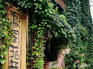 Phoenix Blossoms Café (Dapeng Fortress Store)