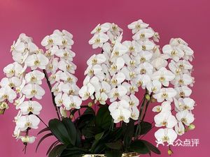 You Can't Resist Coffee