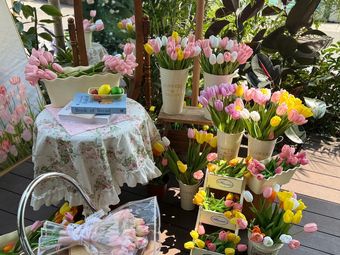 Jingyue Xi Lake View Coffee & Western Restaurant