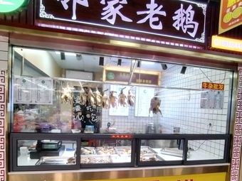 Neighbor's Old Goose