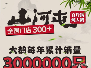 Shanhetun Iron Pot Stew · Intangible Cultural Heritage Northeastern Cuisine (Longhua Store)