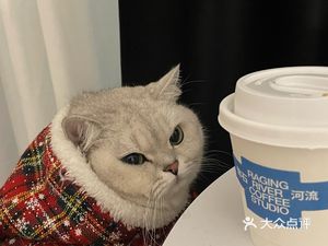 Panshi River · Coffee Freedom (Yi Fang Tian Di Store)