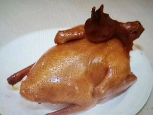Nanyue Guangming Pigeon (Longgang Central City Branch)