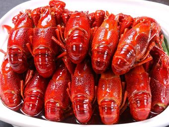 Crayfish