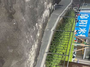 Mianyang Rice Noodles