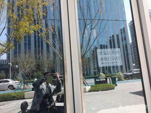 Lao Yanbian Lamb Rice Noodles (Qingyang Branch)