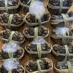 Xinpei Seafood (Jiamei Xinju Store)