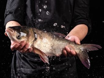 Ma Xiao Er Fish摆摆