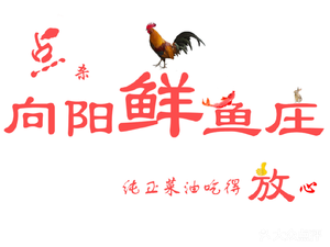 Xiangyang Fresh Fish Farm