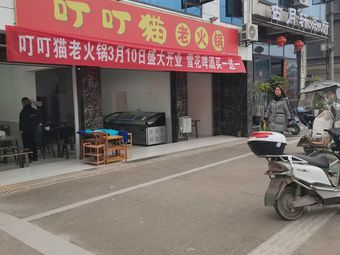 Dingding Cat Old Hot Pot
