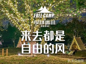 Fang Si Ye Zi You Camp · Outdoor Grilling · Firewood Chicken · Afternoon Tea · Team Building