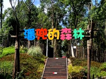 Pan Dou's Forest