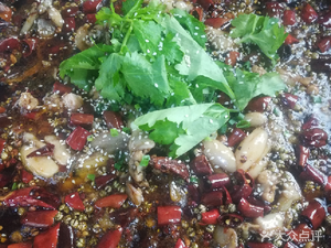 Wei Shi Chicken and Fish Village