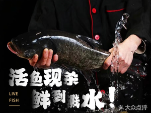 Ding Ding Mao Cold Pot Fish (Shuangliu Jiujiang Branch)
