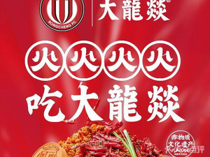 Da Long Yi Hot Pot (Aviation Park Branch)