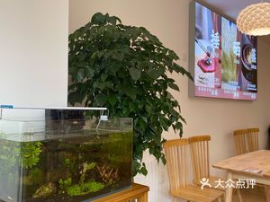 Shaxian Snacks (Airport Store)