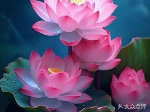 Jiuxiang Lou