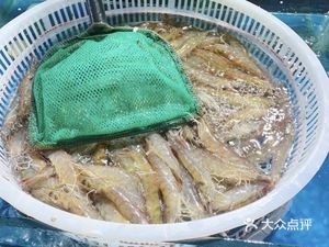 Nine Rivers Fisheries (Baijia Branch)