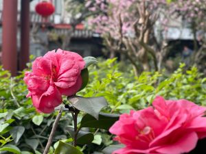 Yijing Teashop · Garden Restaurant (Shuishi Street Store)