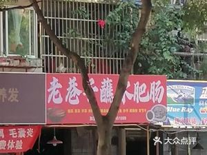 Old Alley Sauce Pork Intestines