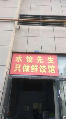 Mr. Dumpling - Only Fresh Dumplings