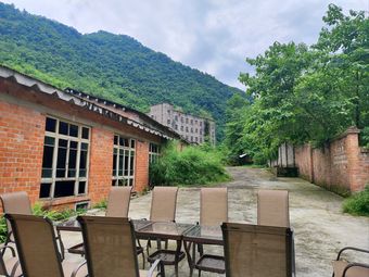 Dayi Return to the Wild