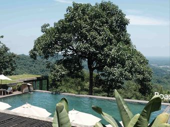 Chi Si · Lvgu Luo Ri Restaurant