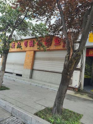 Xinjin Ke Xian Shi Guo Yu (Third Branch)