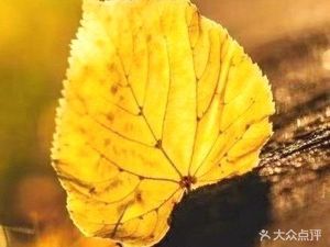 Chuan Yanzi Boiled Vegetables (Shuxiangli First Alley No.19 Courtyard Branch)