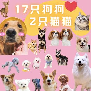 HoneyPuppy狗咖(万科钻石广场店)