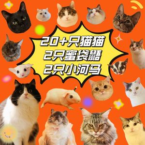 NyaNya Cat Cafe · Small Animal Café · Sugar Glider · Pocket Gopher