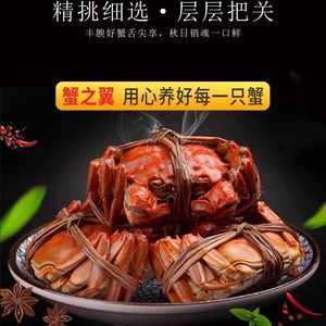 Crab Wing Big Crab (Chengdu Dongmen Branch)