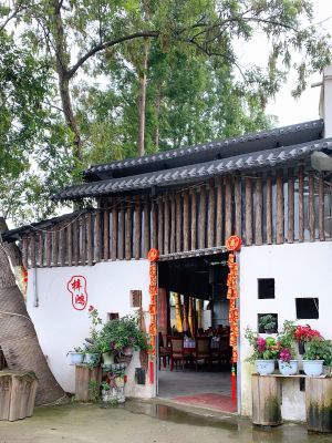 Zihong Green Pepper Chicken