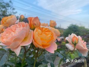 Blue Sky Hotel (Xingfu Street Branch)