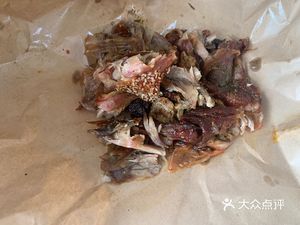 A Duck with Dreams: Hand-Torn Roast Duck (Sunshine 100 Mia Center Branch)