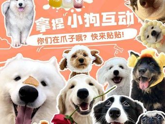 ZZO Paws Claw Oh · Dog Café · Board Game · Samoyed (Huayu Plaza Branch)