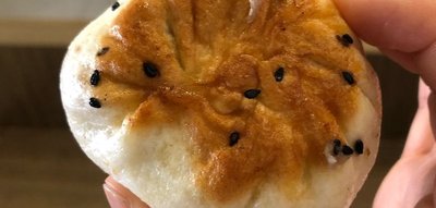 Steam Taste Baozi (Youpin Shangdong Store)