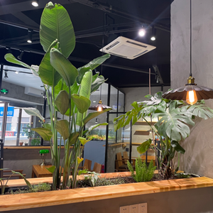 Fish Life Coffee House (Mingxin City Store)