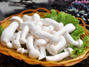 Chixiangyuan Roast Duck (Qingyang Branch)