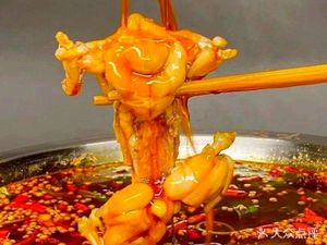 Frog Little Degree Intestine Fish (British Town Store)