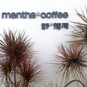 Wild Mint Coffee (Nordic Branch)