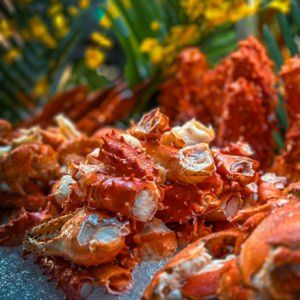 Lang Qiao Café · Seafood Buffet Restaurant (InterContinental Chengdu Century City Hotel)