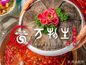 Wanwu Sheng North River Old Hot Pot (Xipu Branch)