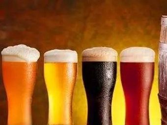 No. 9 Beer Fresh Life