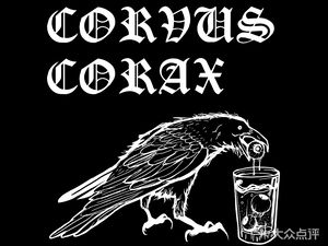 Corvus Corax Black Raven