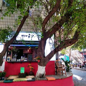 Shen Ka (Branch in Yulin Market)