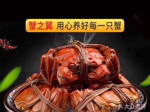 Crab Wing Big Crab (Chengdu Fangcao Street Store)