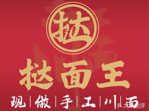 Tart Noodle King · Handmade Sichuan Noodles (Yufeng Store)