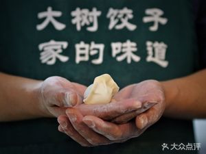 Da Shu Dumpling House